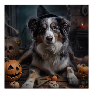 Australischer Schäferhund Kürbisse Halloween Gruse Poster