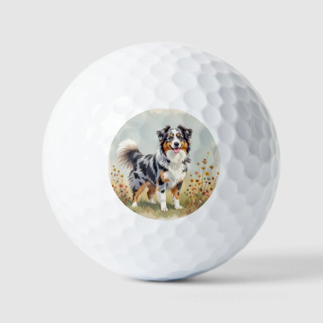 Australischer Schäferhund Merle Langschwanz Golfball (Vorderseite)