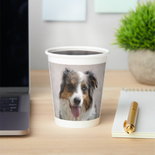 Australischer Schäferhund Merle Pappbecher