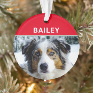 Australischer Schäferhund mit Name und Foto Ornament