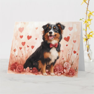Australischer Schäferhund mit Rose - Valentinstag Karte