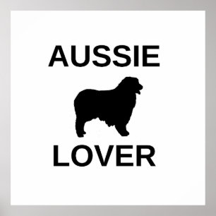 Australischer Schäferhund Poster