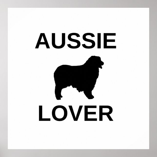 Australischer Schäferhund Poster (Vorne)