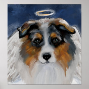 Australischer Schäferhund Poster