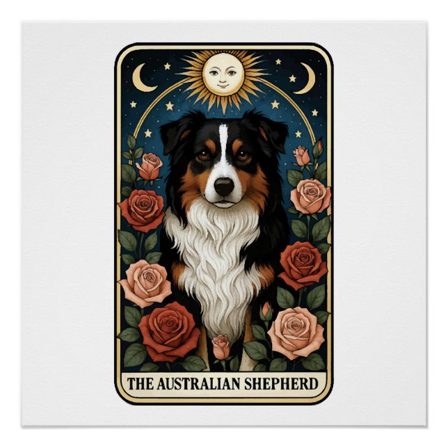 Australischer Schäferhund Poster (Vorderseite)