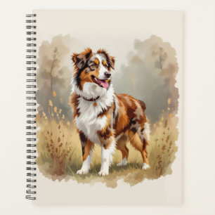 Australischer Schäferhund Rot Merle Aussie Planer