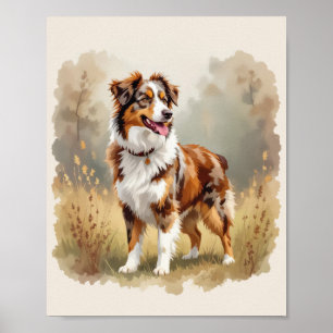 Australischer Schäferhund Roter Merle Aussie Poster