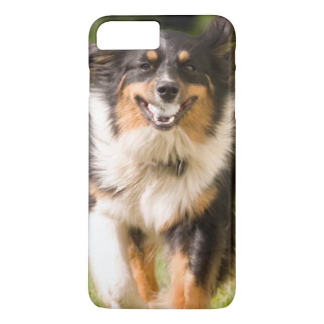 Australischer Schäferhund spielt mit Ball Case-Mate iPhone Hülle (Rückseite)