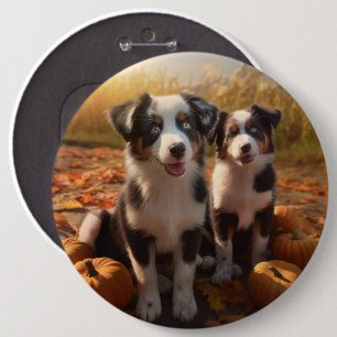 Australischer Schäferhund-Welpe Herbstfreude Kürbi Button