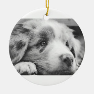 Australischer Schäferhund-Welpe sw Keramik Ornament
