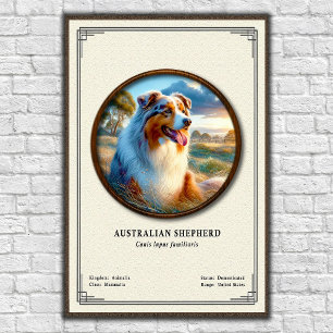 Australischer Schäferhund Zoologie-Serie Poster