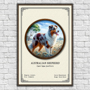 Australischer Schäferhund Zoologie-Serie Poster