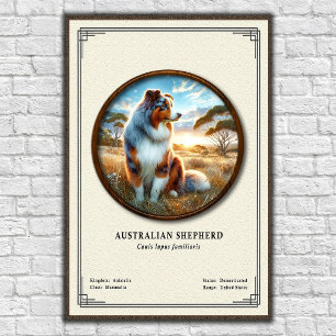 Australischer Schäferhund Zoologie-Serie Poster