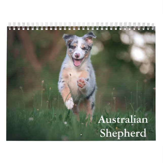 Australischer Schäferkalender Kalender (Titelbild)