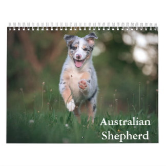 Australischer Schäferkalender Kalender