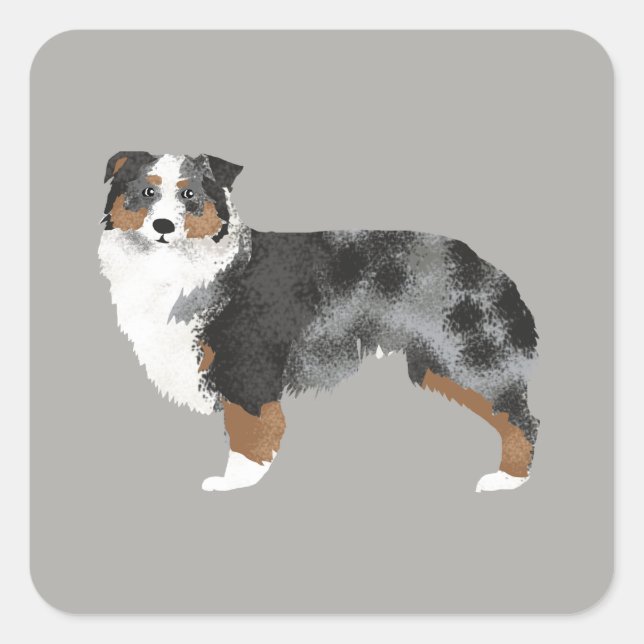 Australischer Schepherd-Dog-Sticker Quadratischer Aufkleber (Vorderseite)