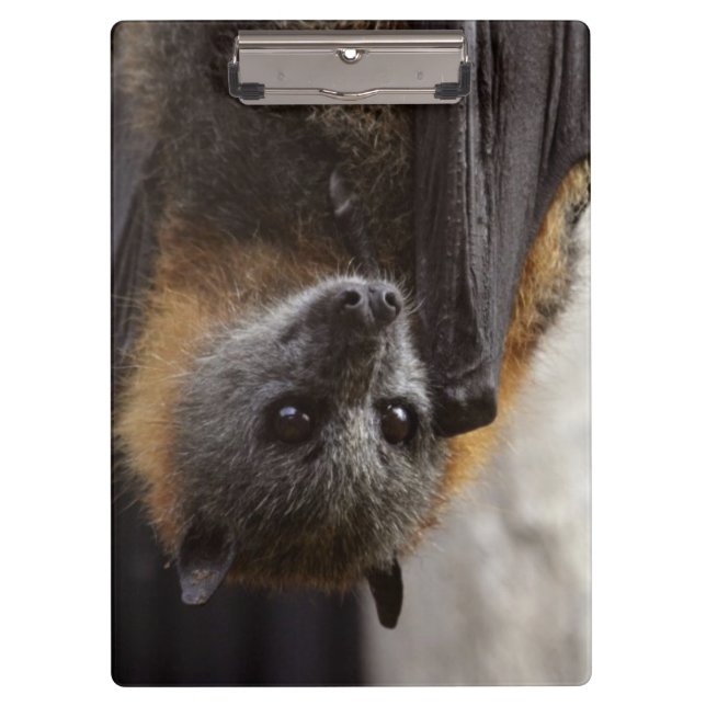 Australischer Schläger Klemmbrett (Vorderseite)