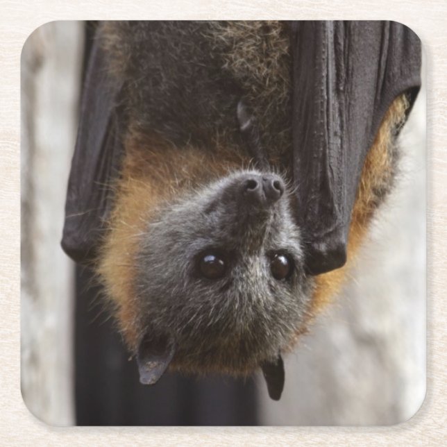 Australischer Schläger Rechteckiger Pappuntersetzer (Vorderseite)