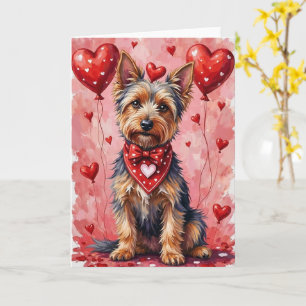 Australischer Silky Terrier Valentine Hund sitzt Karte