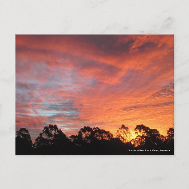 Australischer Sunset Postkarte (Vorderseite)