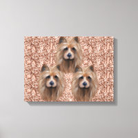 AUSTRALISCHER TERRIER