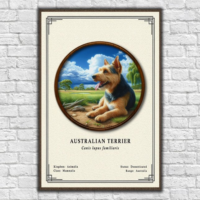 Australischer Terrier Zoologie-Serie Poster (Von Creator hochgeladen)