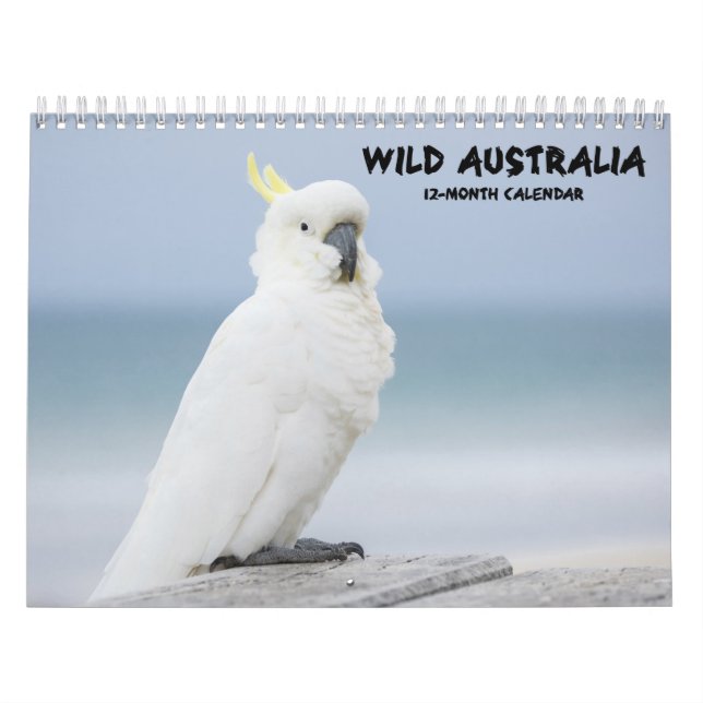 Australischer Tier-Kalender "wilden Australiens" Kalender (Titelbild)