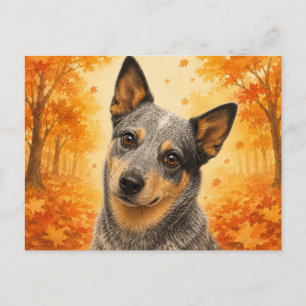 Australischer Treibhund Herbstwald Hund Postkarte