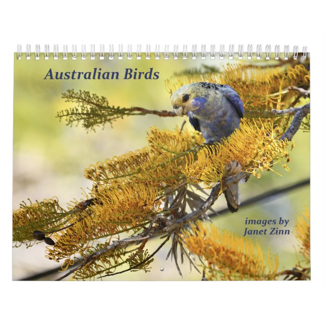 Australischer Vogel-Kalender Kalender (Titelbild)
