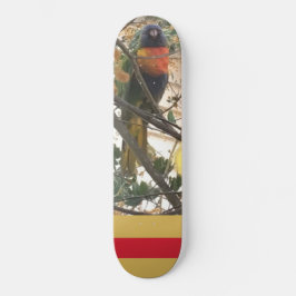 Australischer Wattle Rainbow Lorikeet Cockatoo Bir Skateboard