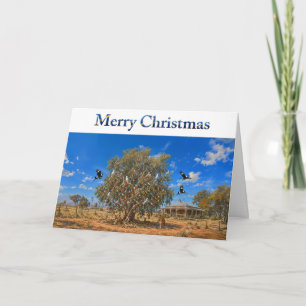 Australischer Weihnachts-Gumtree-Schmuck Kängurus Karte