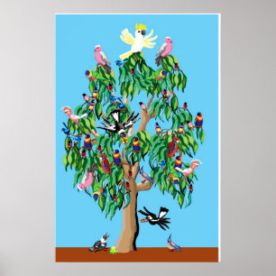 Australischer Weihnachtsbaum Poster