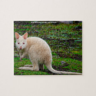 Australisches Albino-Känguru Puzzle