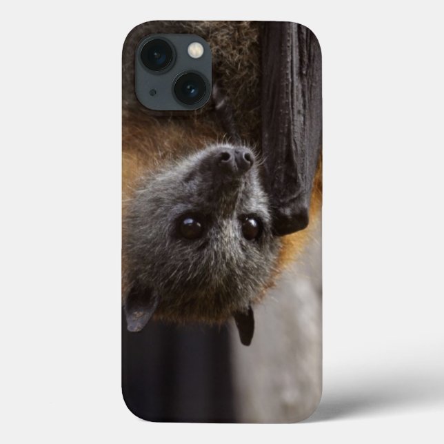 Australisches Bat Case-Mate iPhone Hülle (Rückseite)