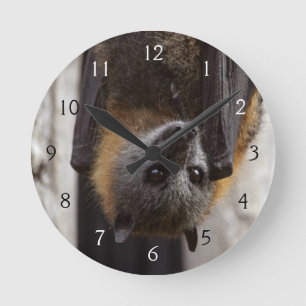 Australisches Bat Runde Wanduhr