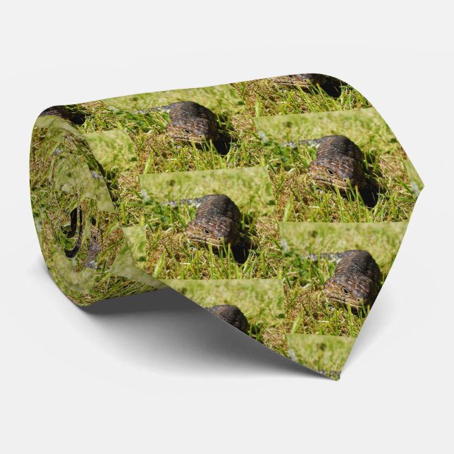 Australisches Blauzungengestumpy Lizard Pattern, Krawatte (Gerollt)