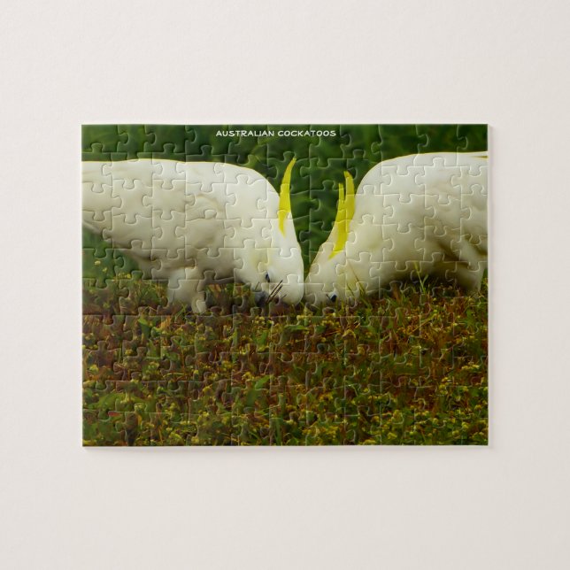 Australisches Cockatoos Puzzle (Horizontal)