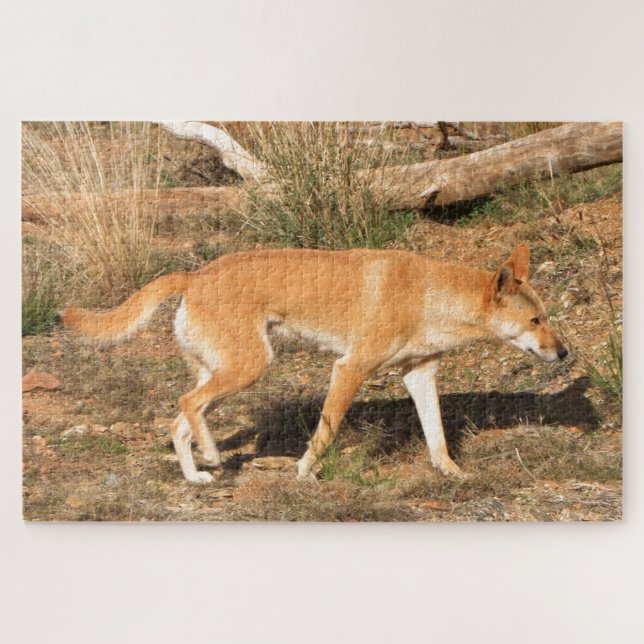 Australisches Dingo Puzzle (Horizontal)