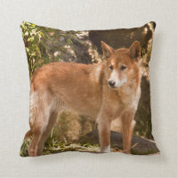Australisches Dingo-Wurfskissen