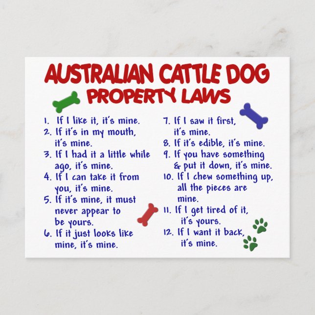 AUSTRALISCHES DOG-Eigentumsrecht "CATTLE DOG" 2 Postkarte (Vorderseite)