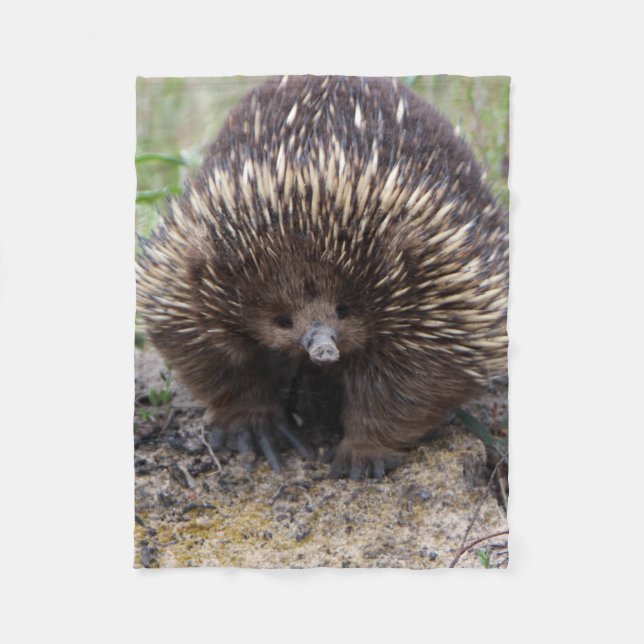 Australisches Echidna-Süße Tier-Foto Fleecedecke (Vorderseite)