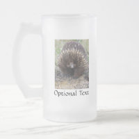 Australisches Echidna-Süße Tier-Foto