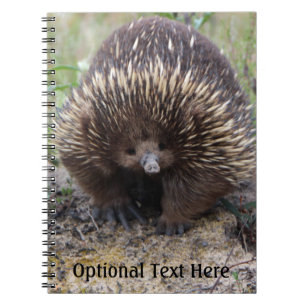 Australisches Echidna-Süße Tier-Foto Notizblock