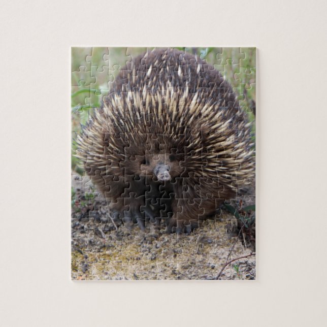 Australisches Echidna-Süße Tier-Foto Puzzle (Vertikal)