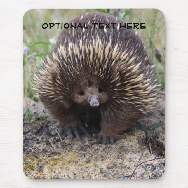 Australisches Echidna-Tier-Foto Mousepad (Vorne)