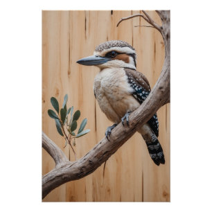 Australisches Kookaburra in einer Baumart Poster