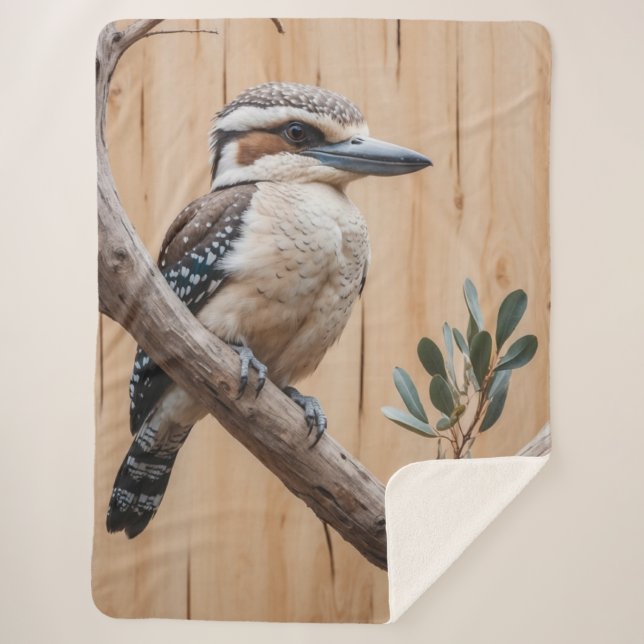 Australisches Kookaburra in einer Baumart Sherpadecke (Vorderseite)