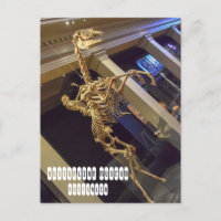 Australisches Museum in Sydney Australien