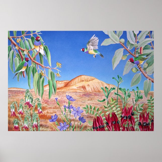 Australisches Outback Poster (Vorne)