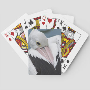 Australisches Pelikan nah Spielkarten